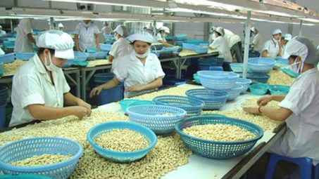 Xuất khẩu vào thị trường Vương quốc Anh